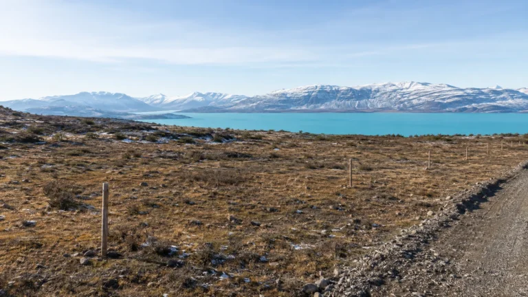 Terreno abierto con camino y vista al Lago Argentino